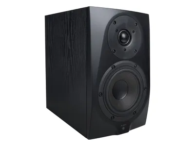 Аудиомонитор Icon DT-5S, активный, 2-полосный, 45–25000 Гц, 113 дБ
