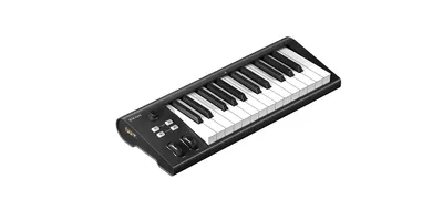 MIDI-клавиатура Icon Artist 25 (110105A2028), 25 полувзвешенных клавиш, USB-C, MIDI